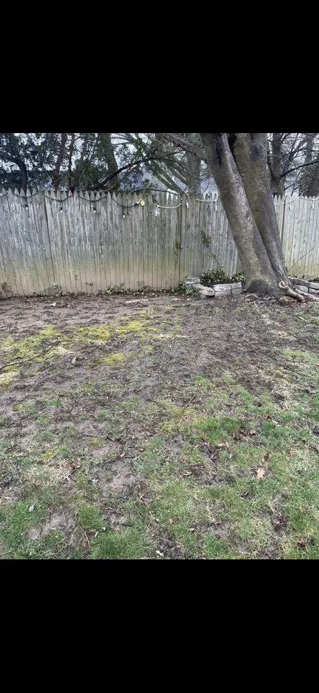 Reliable yard cleanup service for residential properties across Harleysville, PA - Tom’s General yard work