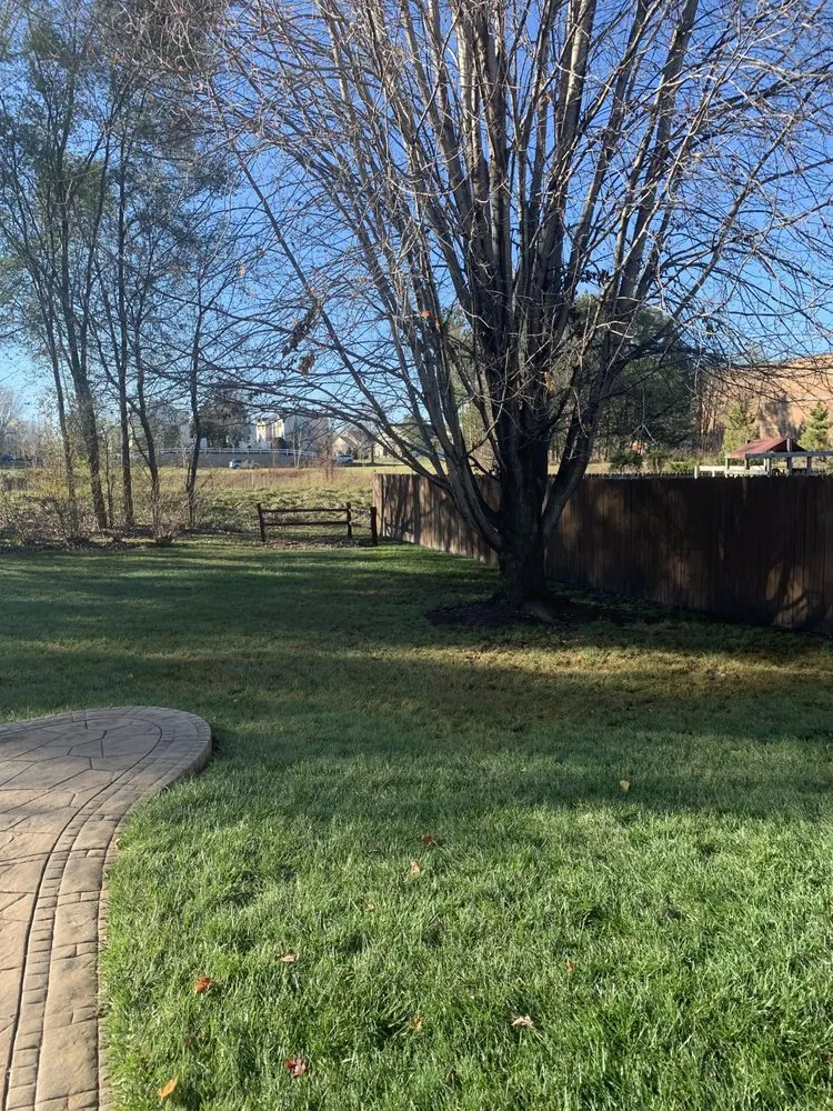 Trusted landscape design for outdoor upgrades across Ramsey, MN - Tom's Help