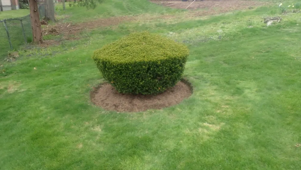 Top-rated residential landscaping for homes in Rocky Hill, CT by Tom's Landscape Co