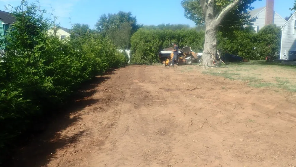 Affordable lawn mowing service in Rocky Hill, CT - Tom's Landscape Co