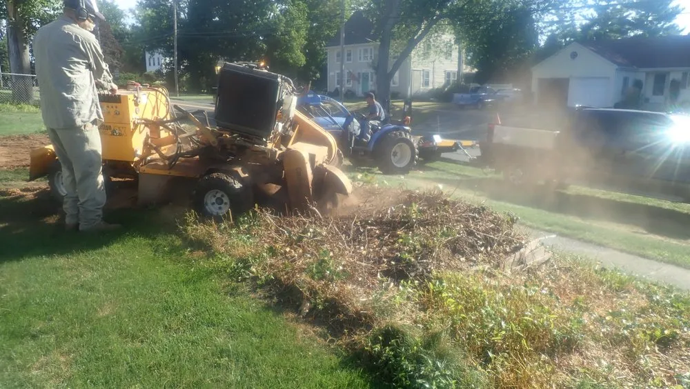 Reliable residential landscaping experts serving Rocky Hill, CT - Tom's Landscape Co