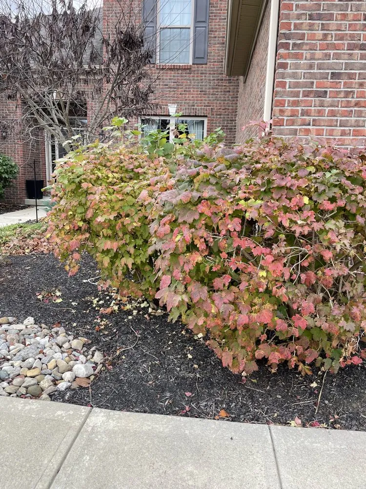 Local landscape installation in Cincinnati, OH - Tom’s Landscaping & Painting Company