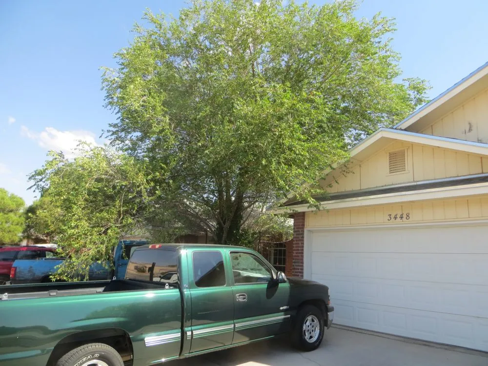 Affordable lawn care service in El Paso, TX - Tom's Landscaping