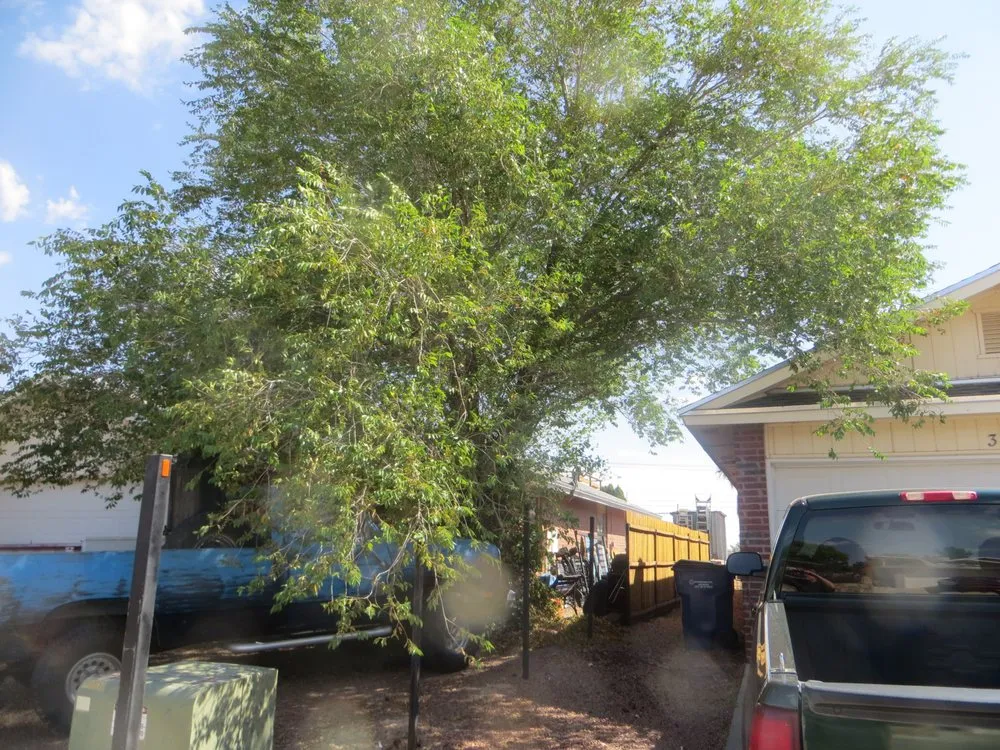 Reliable outdoor landscaping in El Paso, TX - Tom's Landscaping