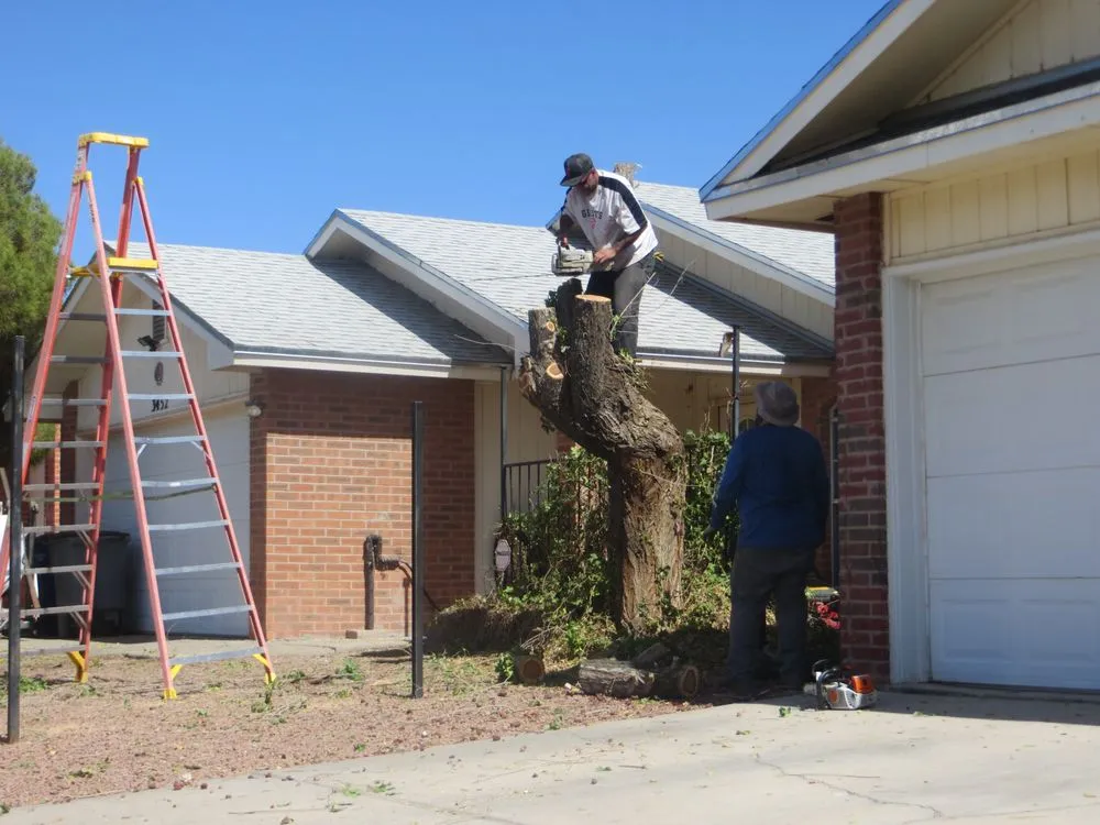Affordable landscaping services for year-round maintenance across El Paso, TX - Tom's Landscaping