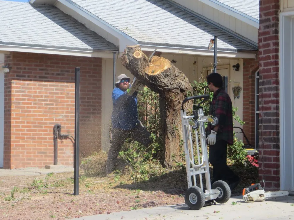 Custom landscaping services for beautiful yards in El Paso, TX by Tom's Landscaping