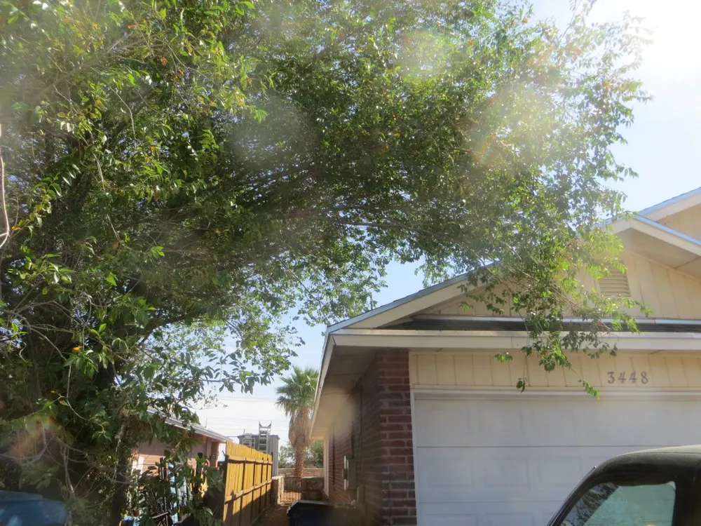 Affordable yard cleanup service in El Paso, TX by Tom's Landscaping