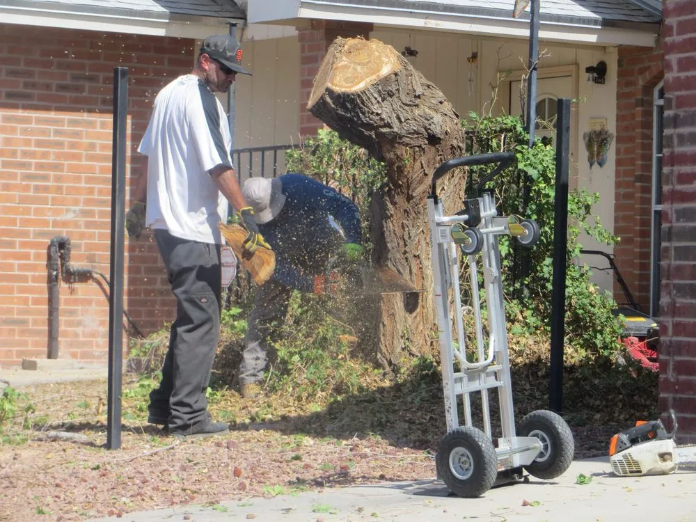 Affordable landscape installation in El Paso, TX by Tom's Landscaping