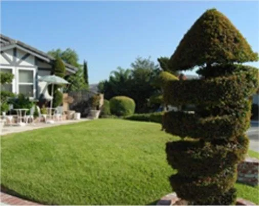 Expert landscape installation for year-round maintenance across Sidney, OH - Tom's Lawn & Landscape & Sidney Tree Care