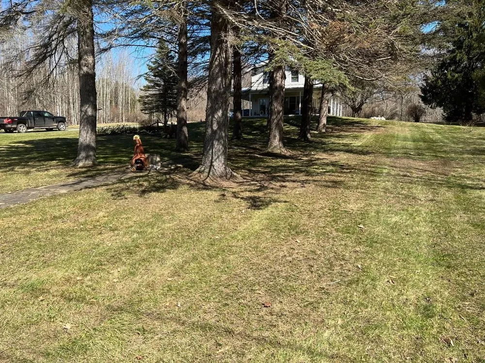 Reliable outdoor landscaping for outdoor upgrades across Brethren, MI - Toms Lawn Care and Snow Removal