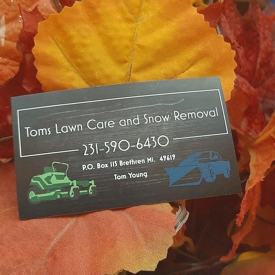 Reliable landscape installation in Brethren, MI by Toms Lawn Care and Snow Removal