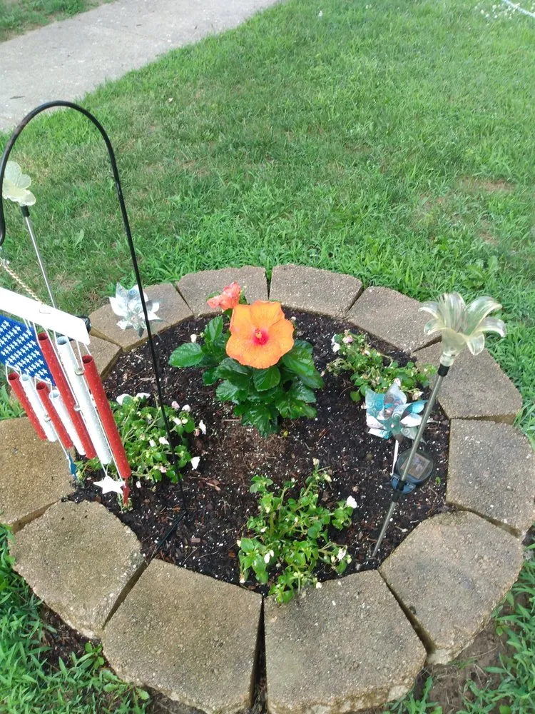 Affordable yard maintenance in Indianapolis, IN - Tom's Lawn Care