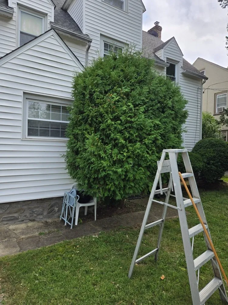 Expert lawn care service experts serving Havertown, PA - Tom's Lawn Cutting