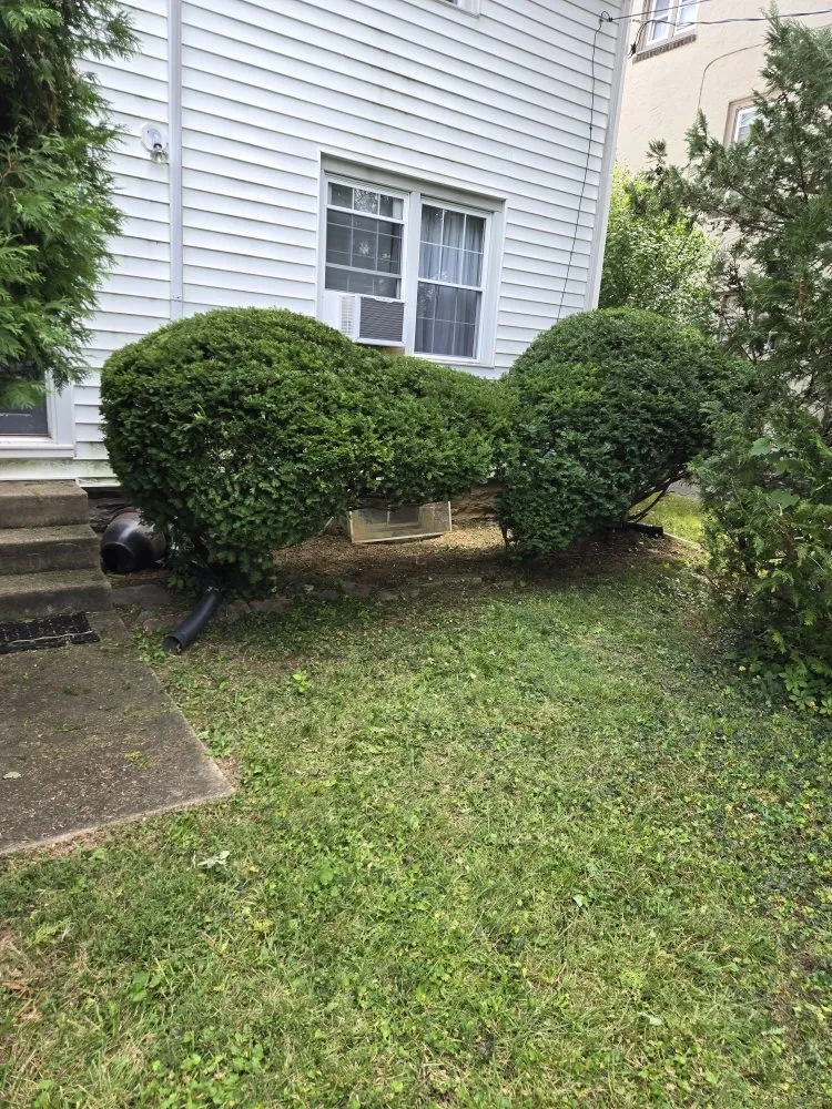 Professional garden landscaping for homes across Havertown, PA - Tom's Lawn Cutting