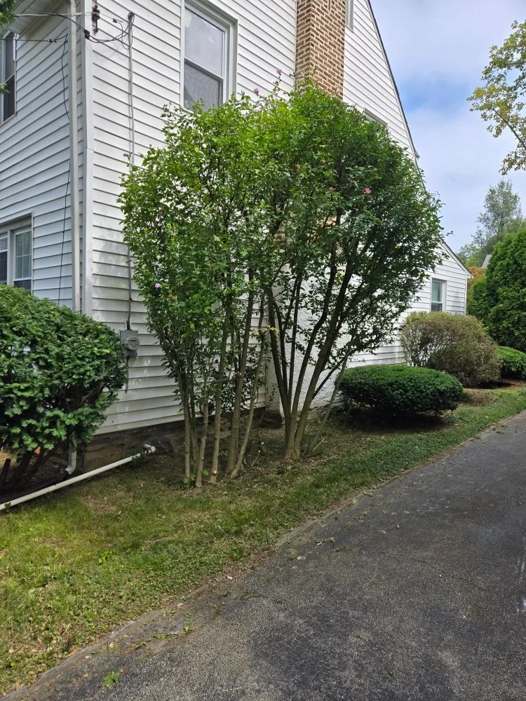 Reliable garden landscaping in Havertown, PA - Tom's Lawn Cutting