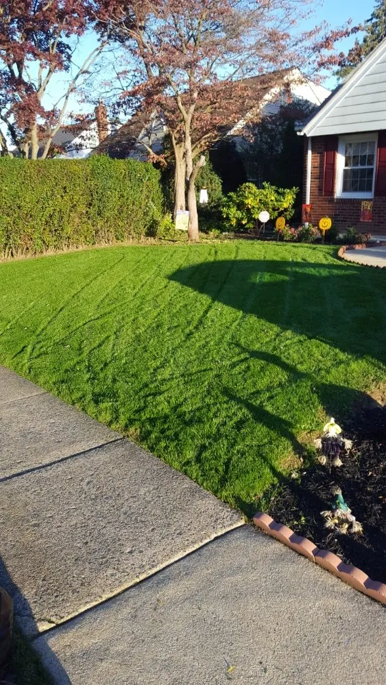 Expert yard cleanup service in Havertown, PA - Tom's Lawn Cutting