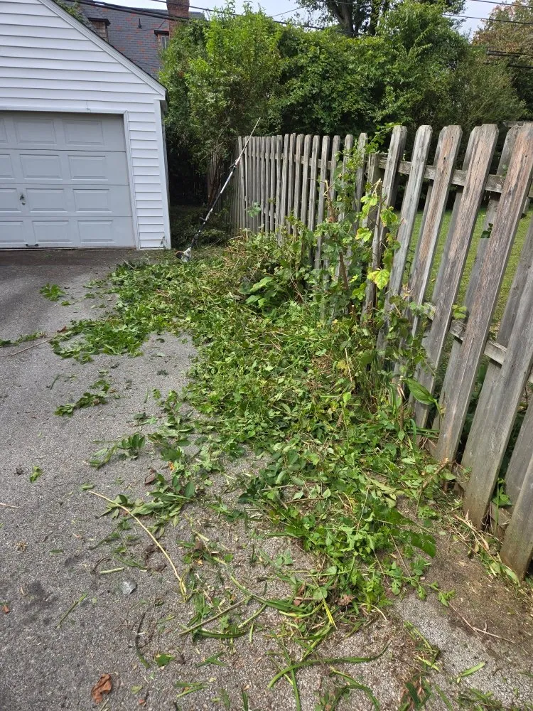 Reliable yard maintenance experts serving Havertown, PA - Tom's Lawn Cutting