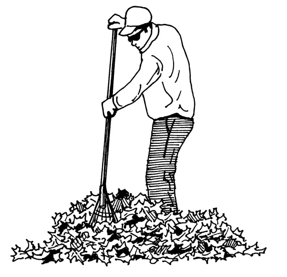 Top-rated lawn mowing service for outdoor upgrades in Highland Mills, NY by Tom's Lawn Mowing Service