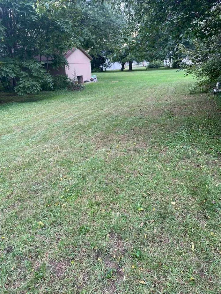 Trusted lawn care service in Ovid, MI - Tom's Lawn Services