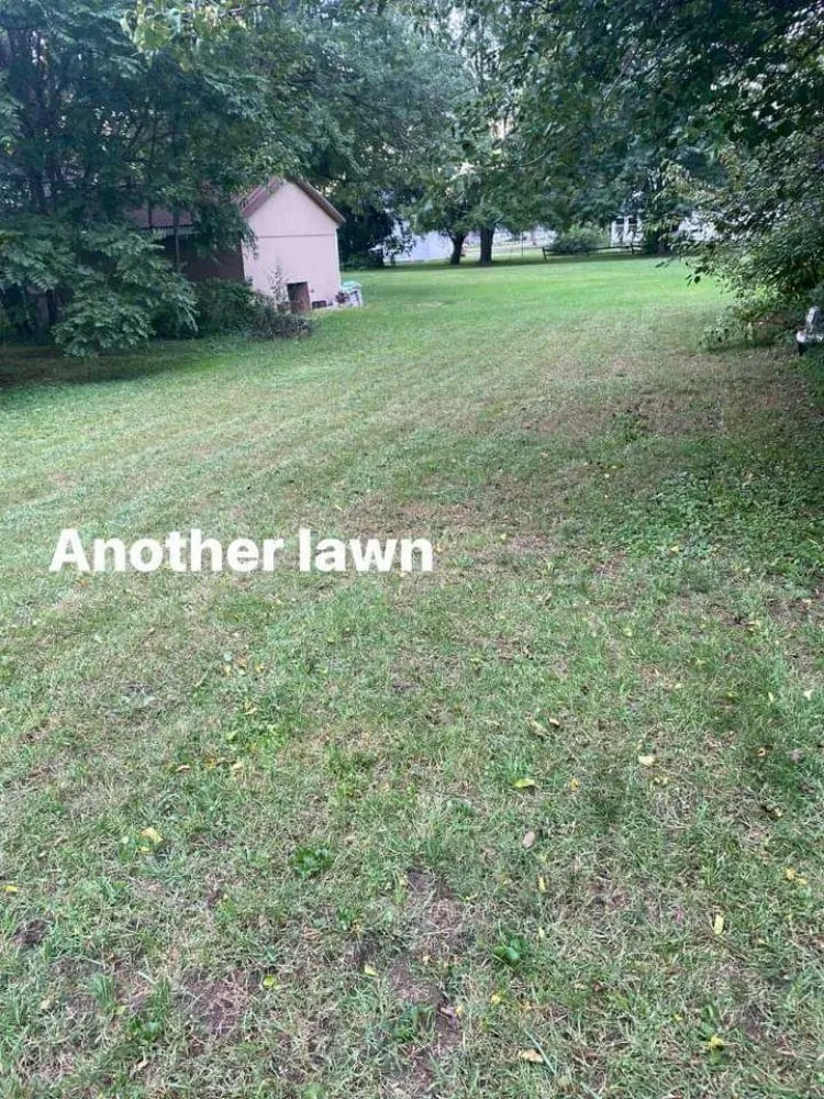 Expert lawn mowing service in Ovid, MI by Tom's Lawn Services