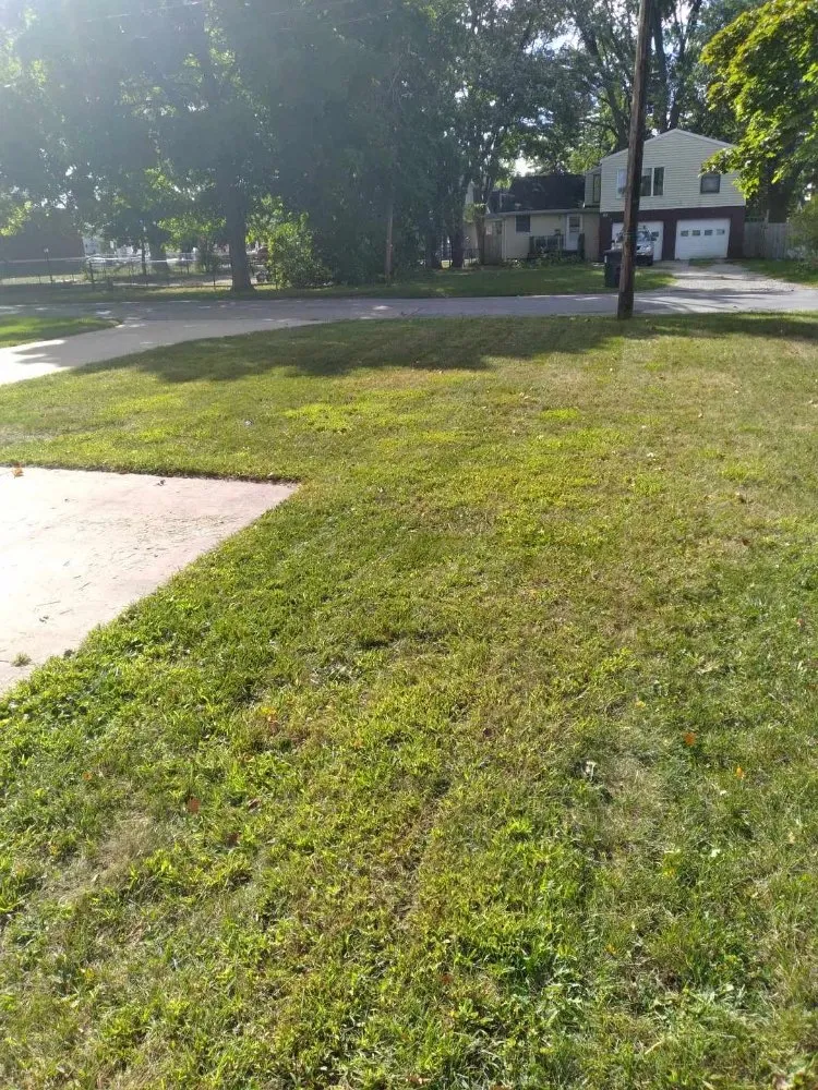 Professional garden landscaping near you in Ovid, MI by Tom's Lawn Services