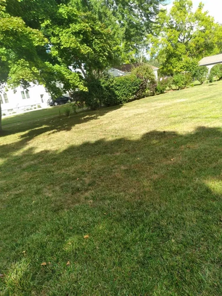 Professional landscape design in Ovid, MI - Tom's Lawn Services