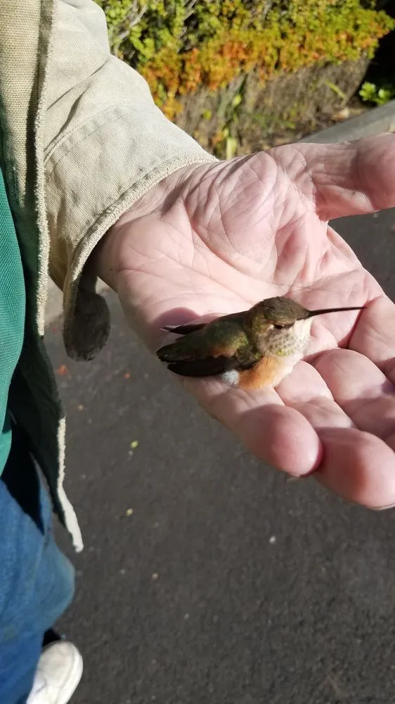 Professional lawn mowing service experts serving Gearhart, OR - Tom's NW Landscaping