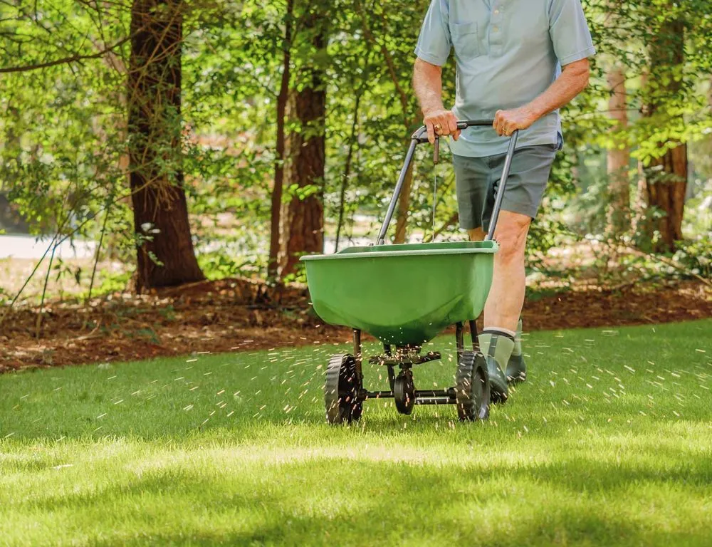 Local yard cleanup service experts serving Taylor, MI - Tom's Outdoor Services