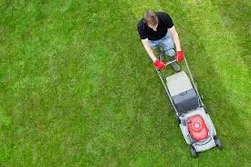 Reliable yard cleanup service for year-round maintenance across Taylor, MI - Tom's Outdoor Services