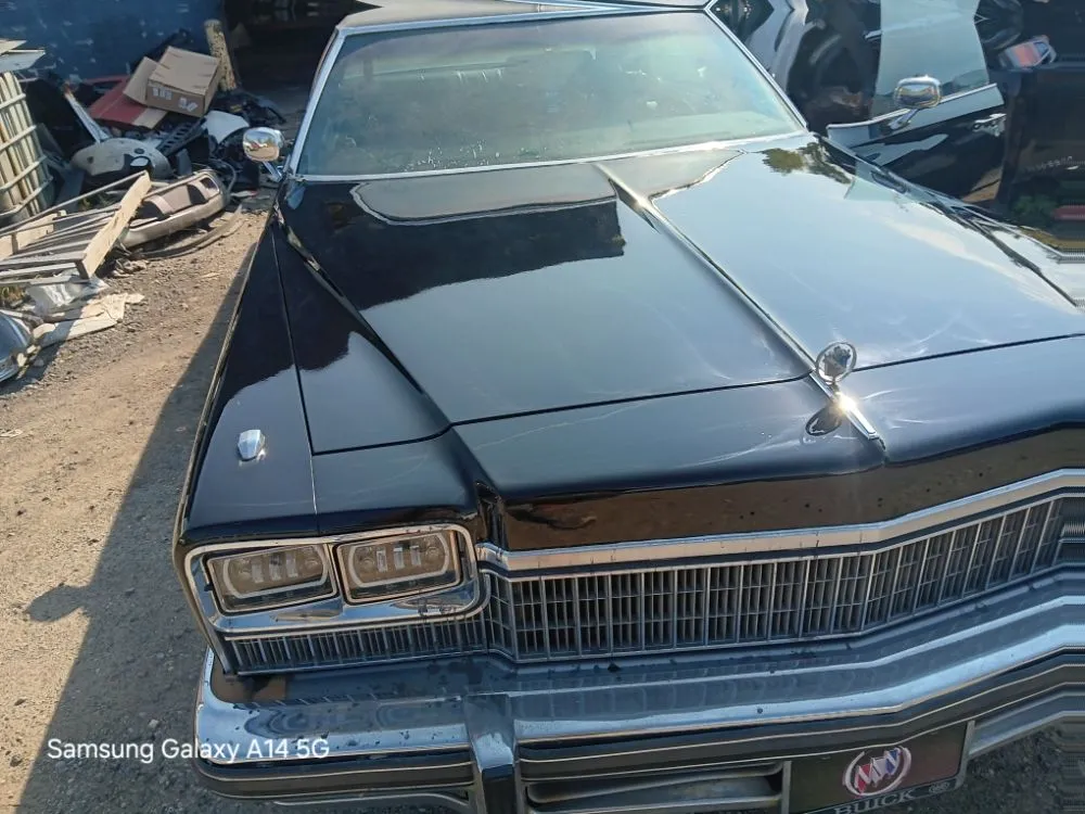 Trusted yard cleanup service for beautiful yards across Taylor, MI - Tom's Outdoor Services