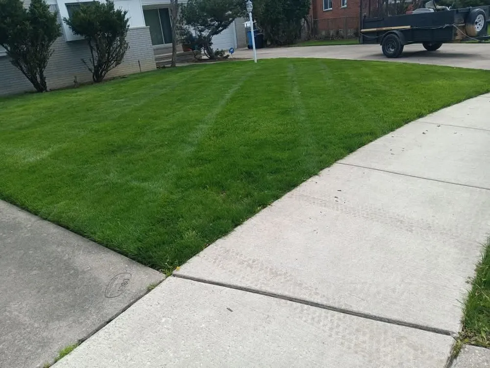 Top-rated residential landscaping for residential properties across Taylor, MI - Tom's Outdoor Services