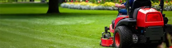 Tom's Outdoor Services Logo