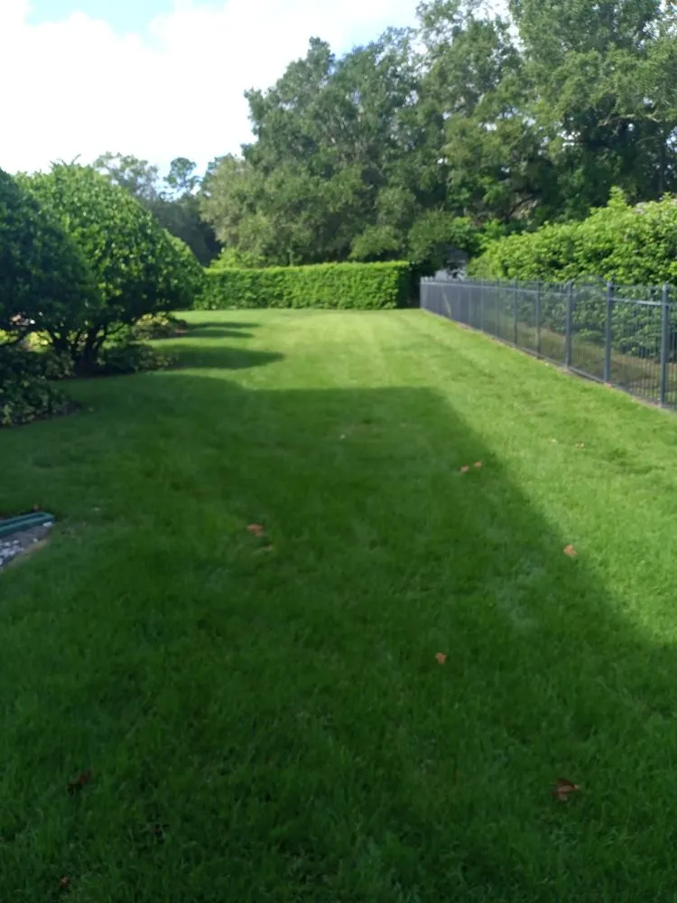 Local landscape design in Lewiston, ME by Tom's Painting Service