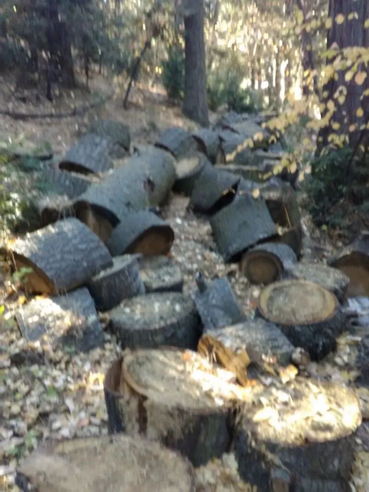 Affordable residential landscaping in Twin Peaks, CA by Toms pets etc
