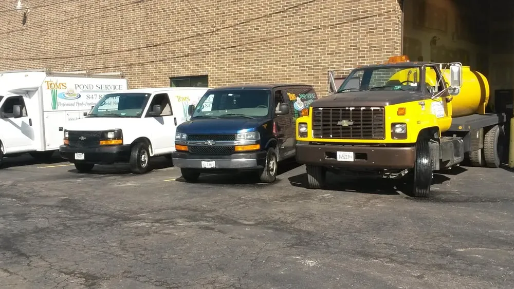 Top-rated outdoor landscaping with custom design across Palatine, IL - Tom's Pond Service