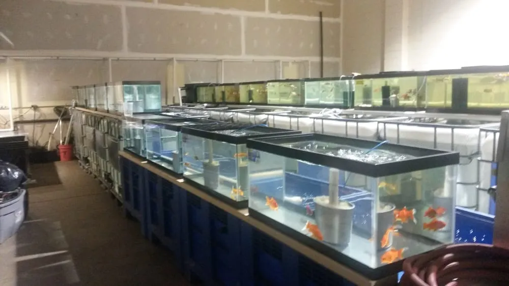 Professional landscaping services for beautiful yards across Palatine, IL - Tom's Pond Service