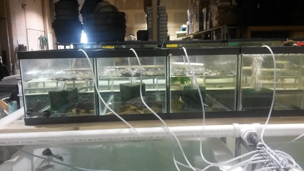 Local lawn mowing service for residential properties across Palatine, IL - Tom's Pond Service