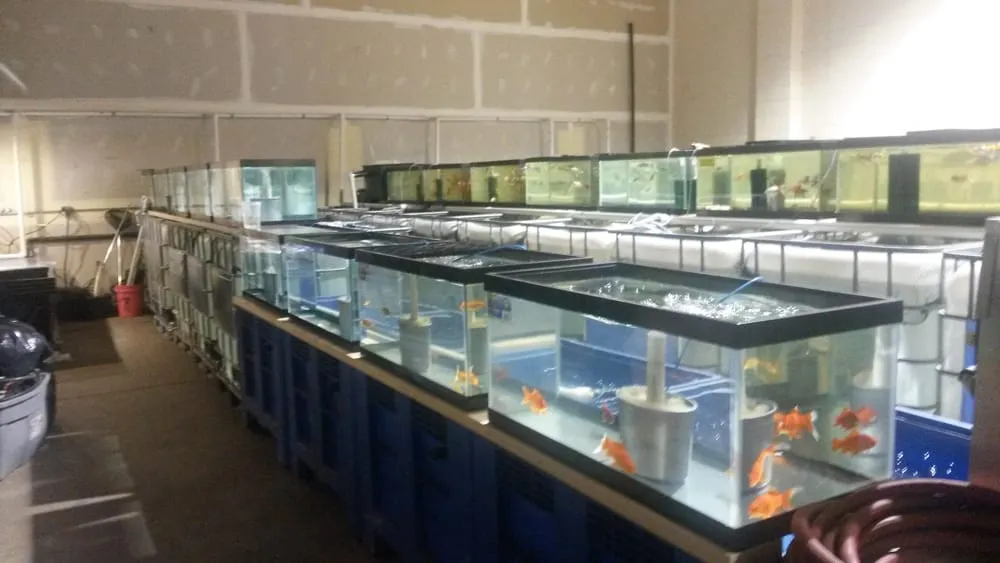 Expert outdoor landscaping for homes across Palatine, IL - Tom's Pond Service