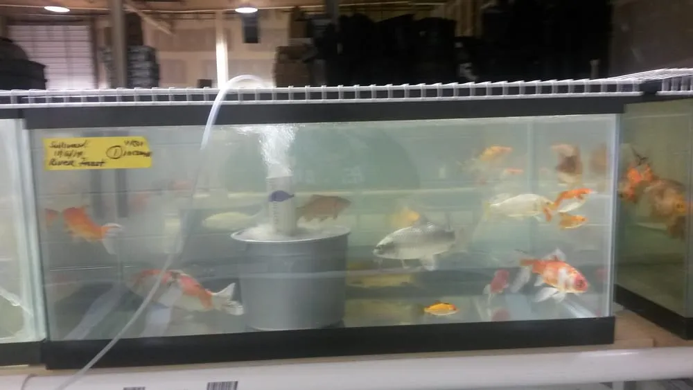 Expert outdoor landscaping for residential properties across Palatine, IL - Tom's Pond Service