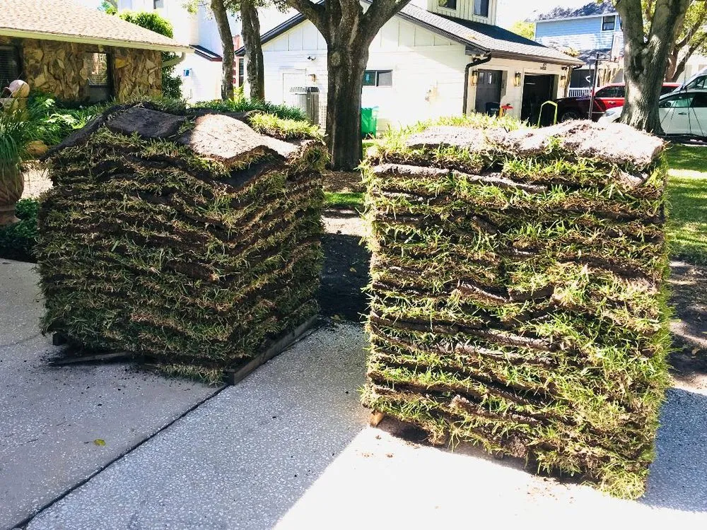 Custom landscape design for year-round maintenance across Clearwater, FL - Tom's Sod Service, Inc