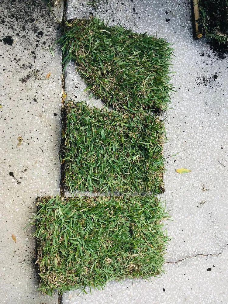 Reliable residential landscaping near you in Clearwater, FL by Tom's Sod Service, Inc