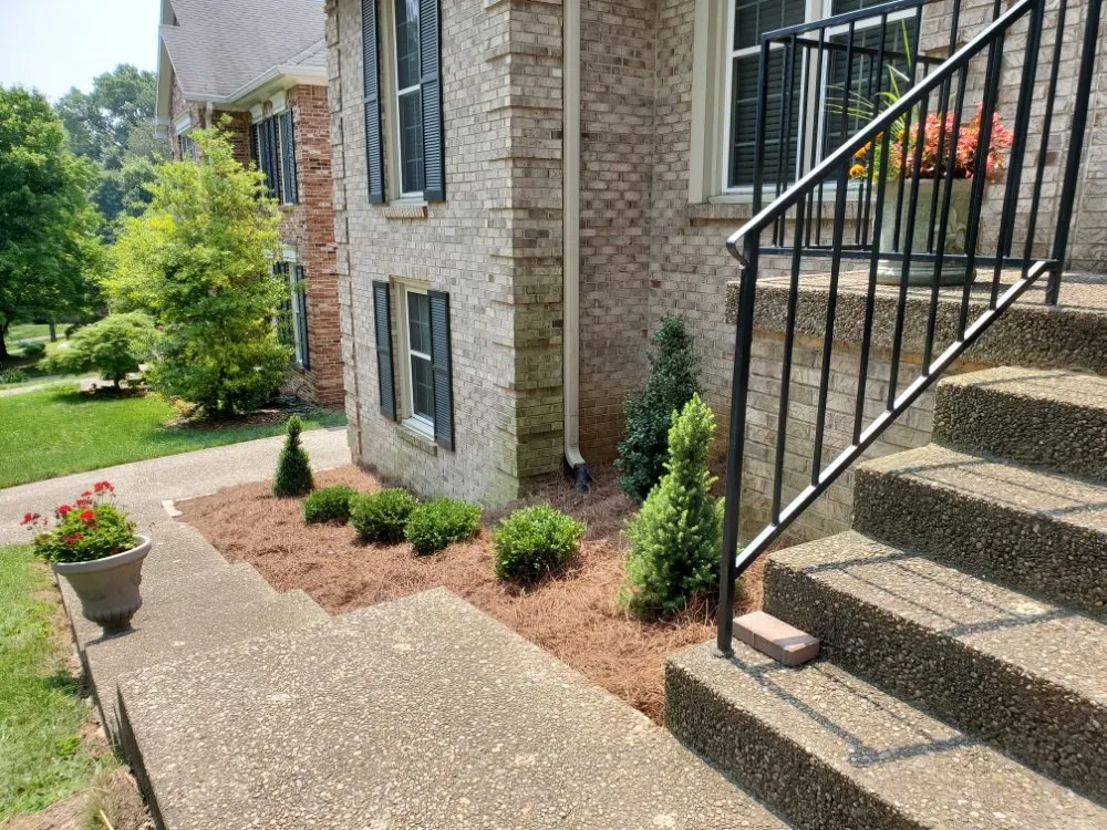 Reliable landscaping services for year-round maintenance in Louisville, KY by Tom's Total Landscaping Service