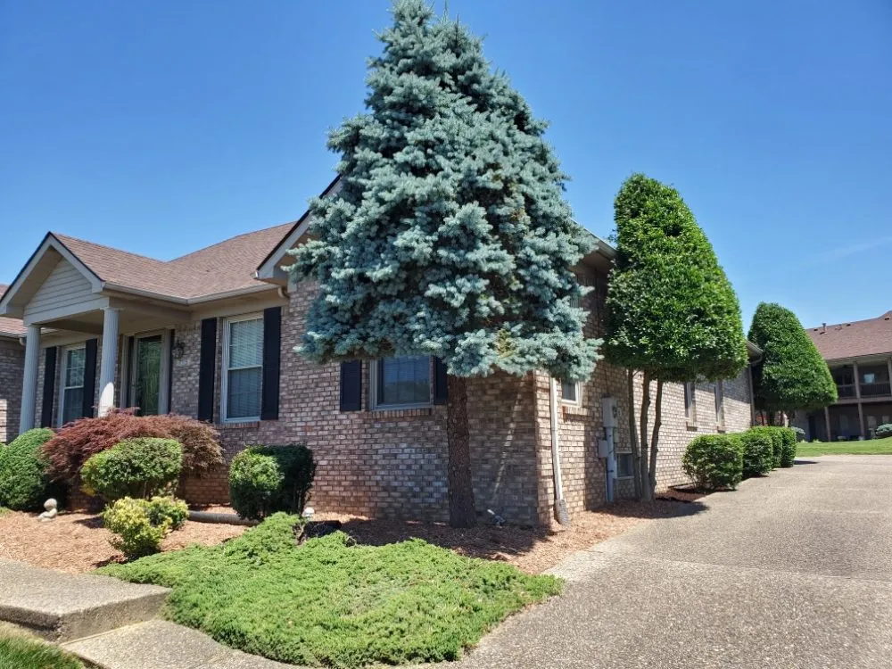 Affordable landscape installation for year-round maintenance across Louisville, KY - Tom's Total Landscaping Service