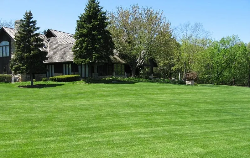 Custom yard cleanup service in Port Barrington, IL by T.O.M.S. Total Outdoor Maintenance Services