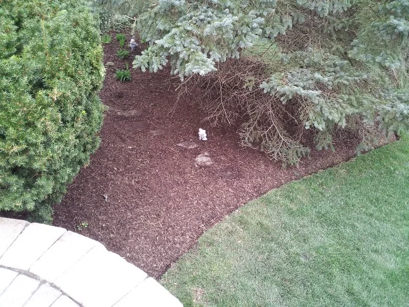 Professional landscaping services for outdoor upgrades in Port Barrington, IL by T.O.M.S. Total Outdoor Maintenance Services