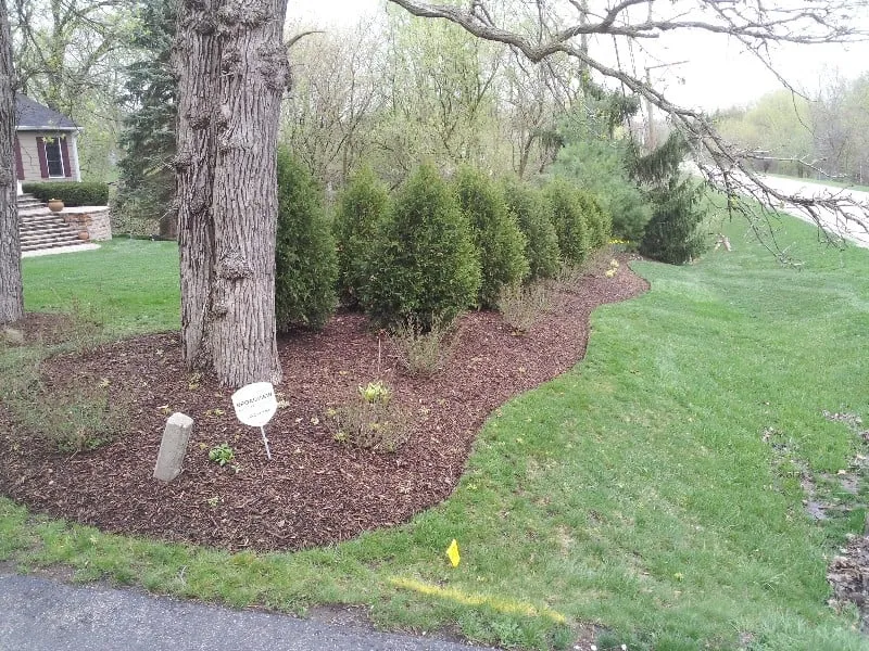Expert yard cleanup service in Port Barrington, IL by T.O.M.S. Total Outdoor Maintenance Services