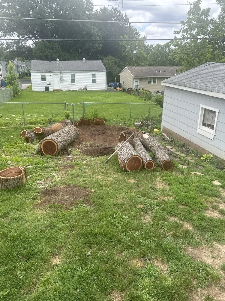 Top-rated landscape installation for homes across Overland, MO - Tom's Tree and Landsape