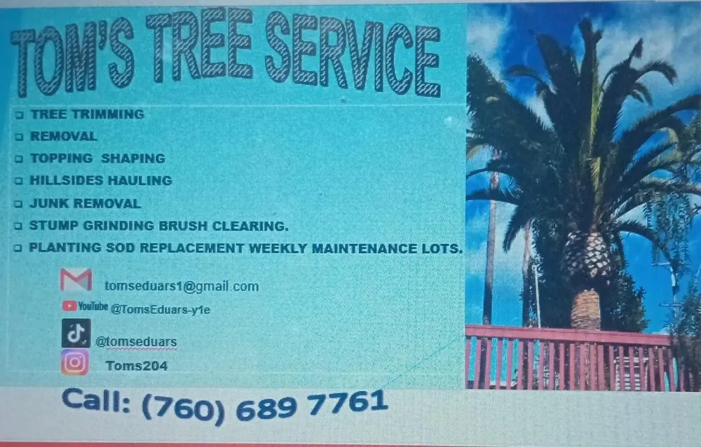 Reliable landscape installation for year-round maintenance across Fallbrook, CA - Tom’s Tree Service