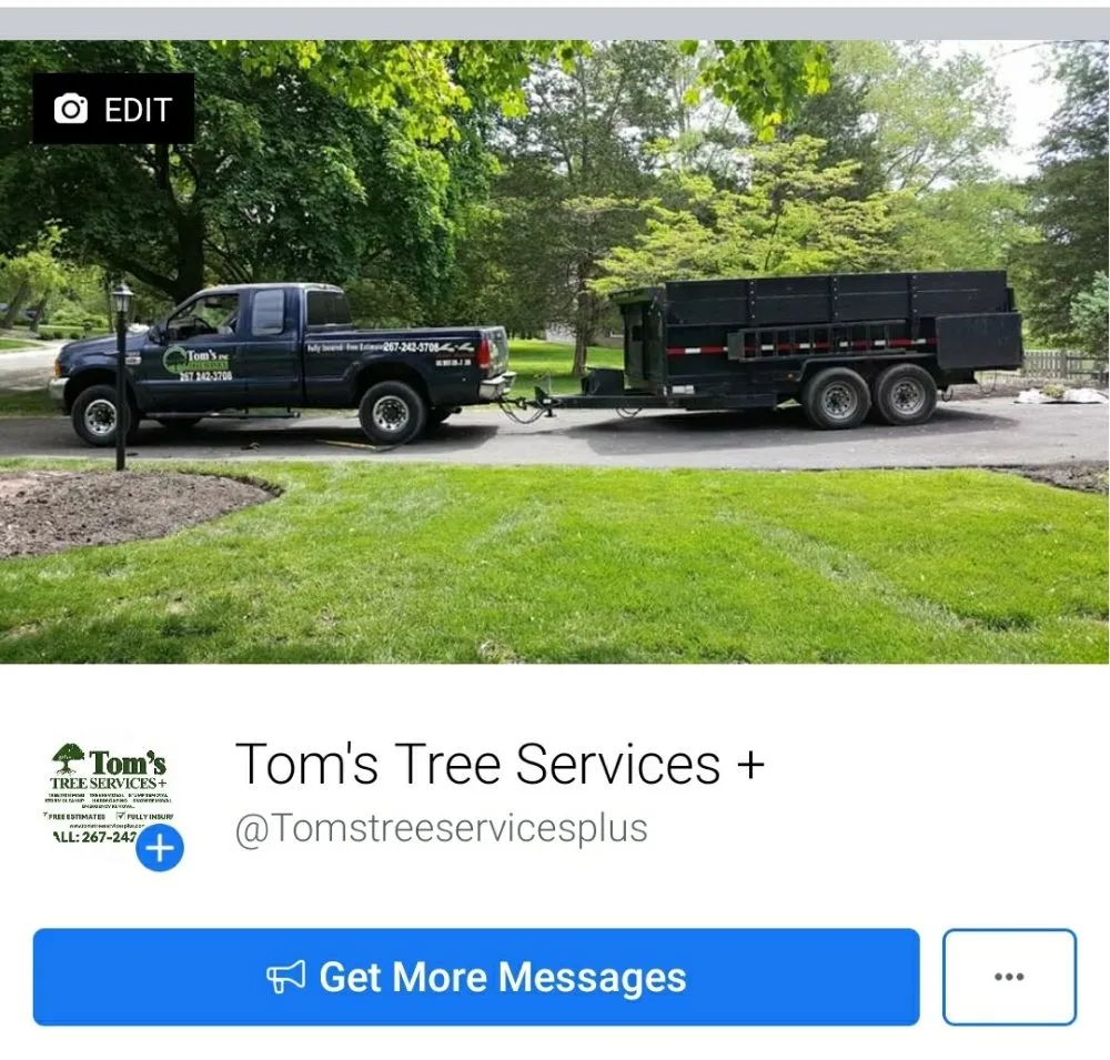 Local lawn mowing service experts serving Bensalem, PA - Tom's Tree Services