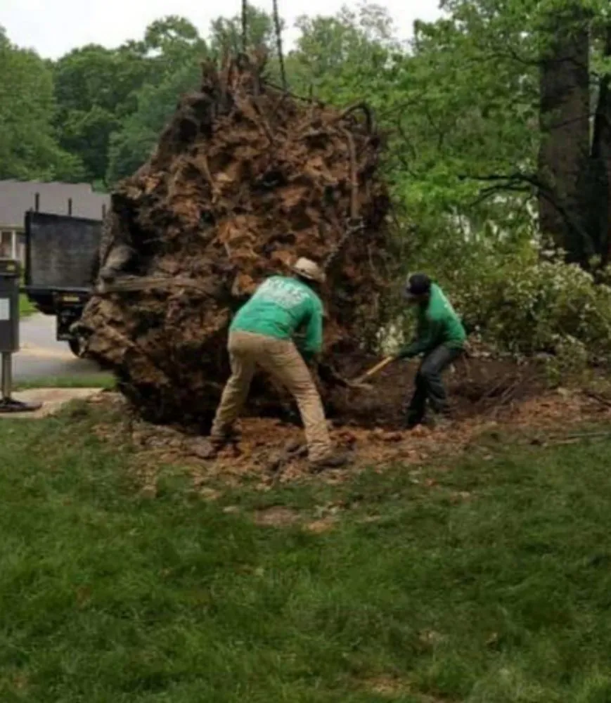 Custom landscape design in Bensalem, PA by Tom's Tree Services